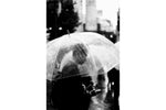 Lomography Earl Grey 100/36 B&W Film - 3  pack