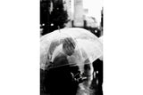 Lomography Earl Grey 100/36 B&W Film - 3  pack