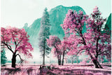2021 LomoChrome Purple Pétillant 35 mm ISO 100–400 Color Negative Film (36 Exposures)
