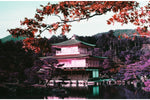 2021 LomoChrome Purple Pétillant 35 mm ISO 100–400 Color Negative Film (36 Exposures)