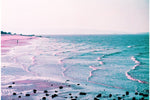 2021 LomoChrome Purple Pétillant 35 mm ISO 100–400 Color Negative Film (36 Exposures)