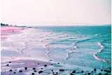 2021 LomoChrome Purple Pétillant 35 mm ISO 100–400 Color Negative Film (36 Exposures)