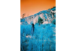 2021 LomoChrome Turquoise 35 mm ISO 100–400 Color Negative Film (36 Exposures)