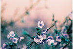 2021 LomoChrome Turquoise 35 mm ISO 100–400 Color Negative Film (36 Exposures)