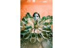 2021 LomoChrome Turquoise 35 mm ISO 100–400 Color Negative Film (36 Exposures)