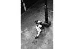 Lomography Monochrome Duet B&W Starter  Kit 35 mm