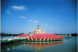 LomoChrome Color ’92 35 mm ISO 400 Color Negative Film (36 Exposures)