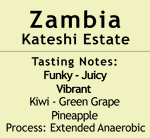Zambia - Kateshi Estate