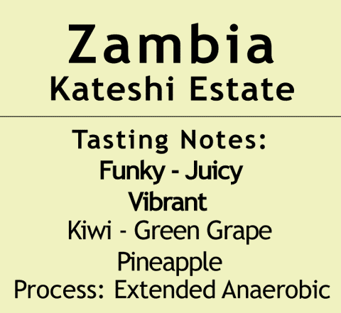 Zambia - Kateshi Estate