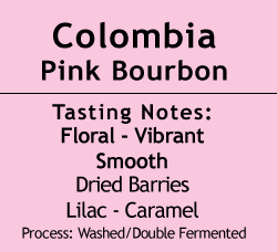 Colombia - Pink Bourbon - Franco Huelgos